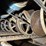 #120-•-trim-saw-image-10