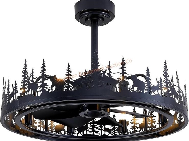 25''-farmhouse-ceiling-fan-with-light-image-5