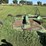 john-deere-1018-image-2