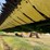 2022-john-deere-hd50f-image-15
