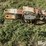 willmar-600-image-9