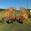 8-star-hay-rake-(pull-type,-hydraulic)-image-6
