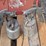 wagner-airless-sprayer,-paint-guns-&-air-hoses-image-10