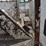 1995-chevrolet-top-kick-bucket-w/-cat-engine-and-teco-bucket-(vin-#-1gdm7h1-image-6