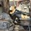 #57-•-ez-go-golf-cart-image-30