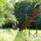#155-•-montgomery-hog-entirety-of-lots-150---154-image-8