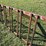 10’-adjustable-steel-sorting-gate-image-7