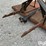case-7’-rotary-cutter-image-9
