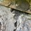 2019-caterpillar-336-image-8