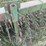 john-deere-400-image-11