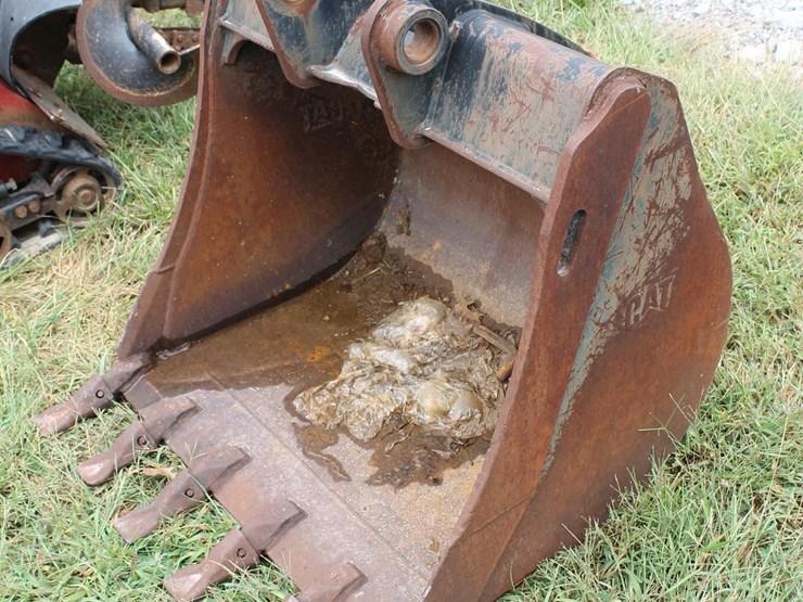 caterpillar-24-image-1