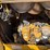 2017-caterpillar-d6k2-lgp-image-24