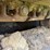 caterpillar-320-image-9