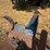 danzco-pull-through-delimber-image-11