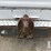 2016-ford-f550-sd-image-24