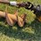 leinbach-line-3pt-auger-image-3
