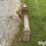 massey-ferguson-quick-hitch-image-8