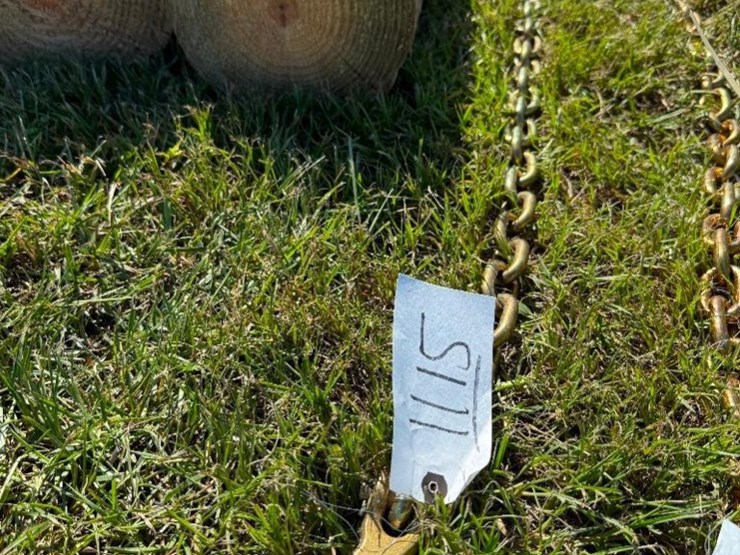 20'-log-chain-image-1