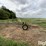 irrigation-pipe-trailer-image-8