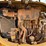 2020-caterpillar-303.5e2-cr-image-28