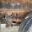 2005-international-durastar-4300-image-31