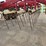 krause-6161-image-23