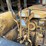caterpillar-d2-image-39