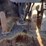 komatsu-wa250pt-5-image-7