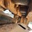 2018-caterpillar-313-image-28