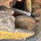 2012-caterpillar-279c2-image-21