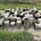 8"-irrigation-pipe-fittings-image-6