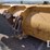 deere-544kii-image-35