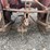 international-140-image-6