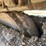 2006-caterpillar-325dl-image-79