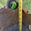 2021-john-deere-2680h-image-44