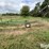 irrigation-pipe-trailer-image-8