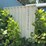 #102-•-storage-container-image-3