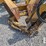 tree-spade-image-3