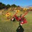 8-star-hay-rake-(pull-type,-hydraulic)-image-5