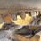 2017-caterpillar-279d-image-11