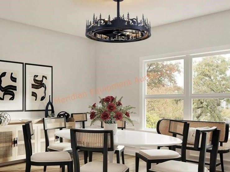 25''-farmhouse-ceiling-fan-with-light-image-2