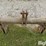 massey-ferguson-quick-hitch-image-6