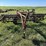 new-holland-259-image-2