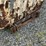 #165-•-self-dumping-hopper-image-8
