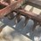 international-12-image-16
