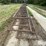 pivot-bridges-image-2