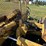 komatsu-d31p-17-image-21