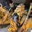 ford-545d-image-27