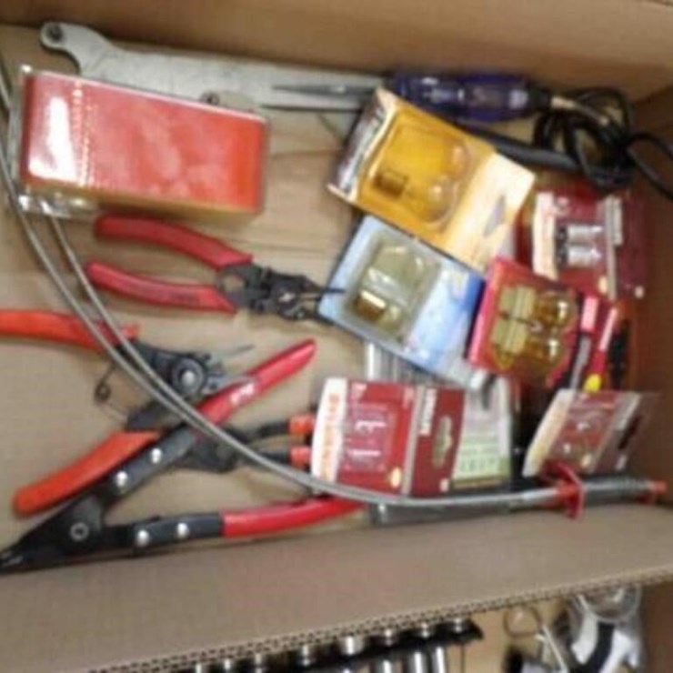 Bulbs, SnapRing Pliers