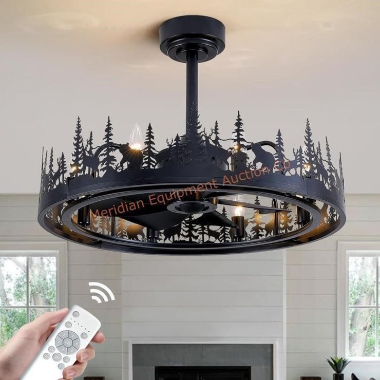 25'' Farmhouse Ceiling Fan with Light